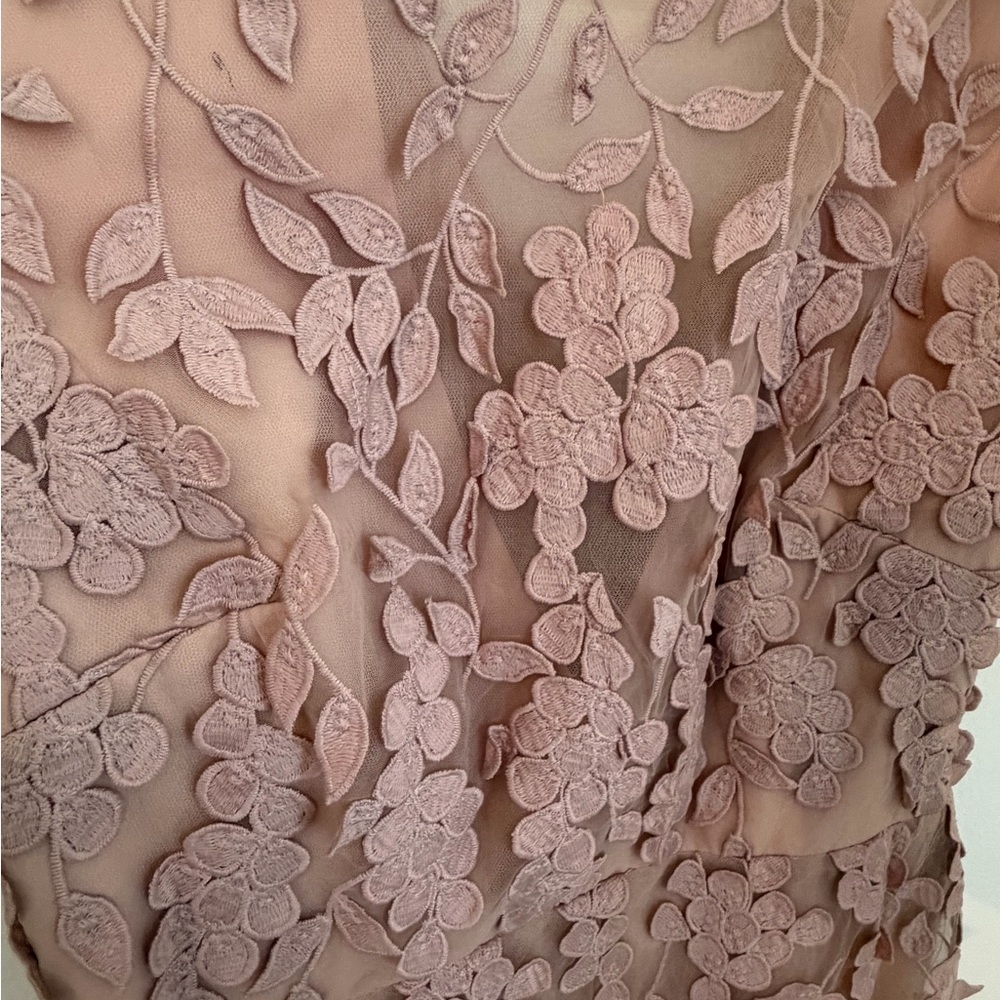 BCBGMaxAzria Blush Lace Floral Long Sleeve Dress